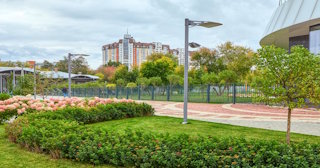 Профессиональное озеленение улиц в Нижнем Тагиле в октябре