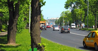 Посадка деревьев и кустарников в Нижнем Тагиле — стоимость от 1249 руб.